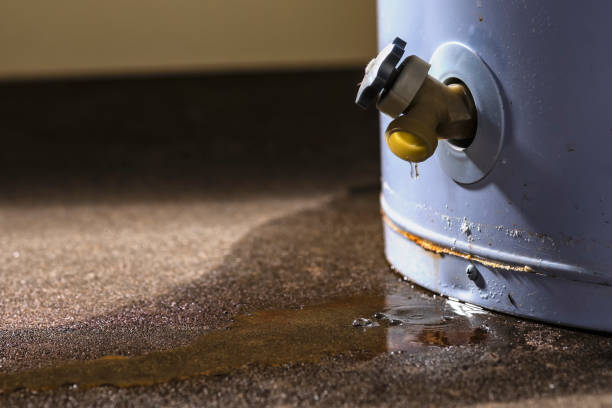 Best Water damage restoration experts  in Wamego, KS