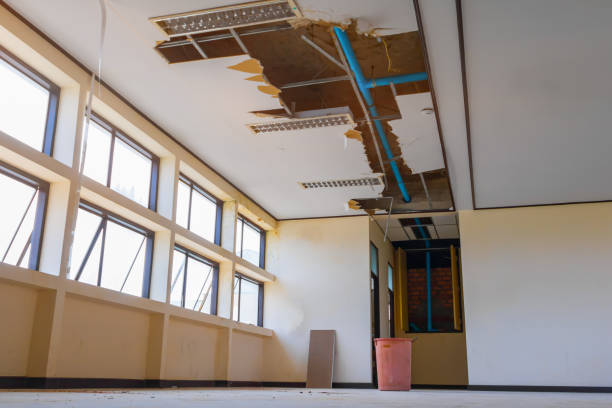 Best Water damage mitigation services  in Wamego, KS