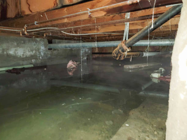Fire Damage Restoration in Wamego, KS