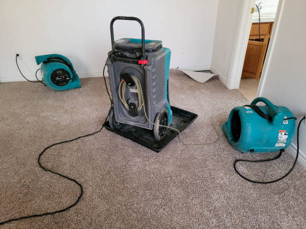 Best Water damage restoration cost  in Wamego, KS