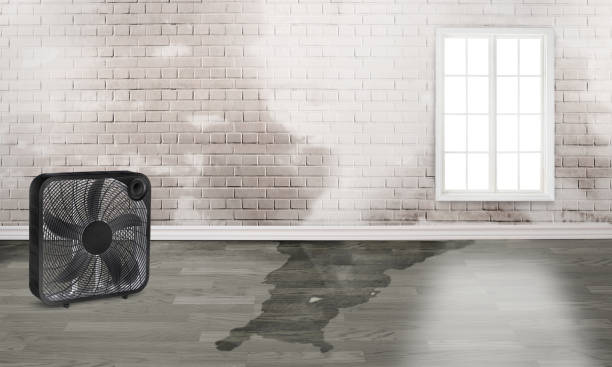 Water damage restoration experts in Wamego, KS