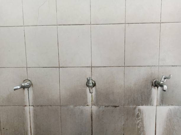 Best 24/7 water damage repair  in Wamego, KS