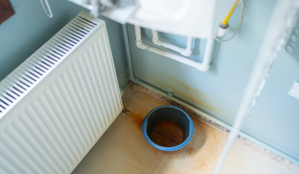 Best Ceiling water damage repair  in Wamego, KS