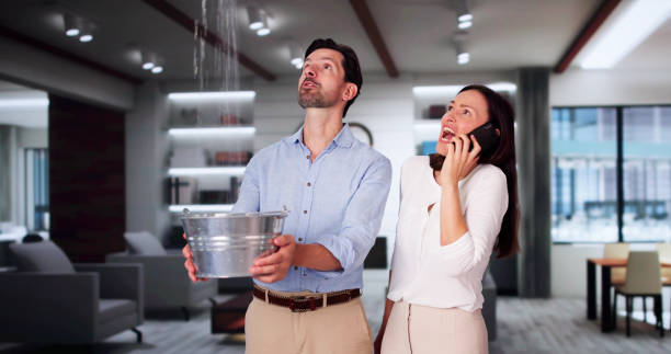 Best Basement water damage restoration  in Wamego, KS