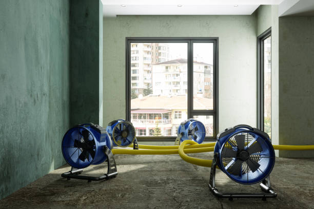 Best Water damage restoration near me  in Wamego, KS
